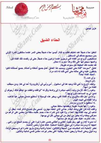 رواية الحذاء الضيق لـ عزيز نيسين