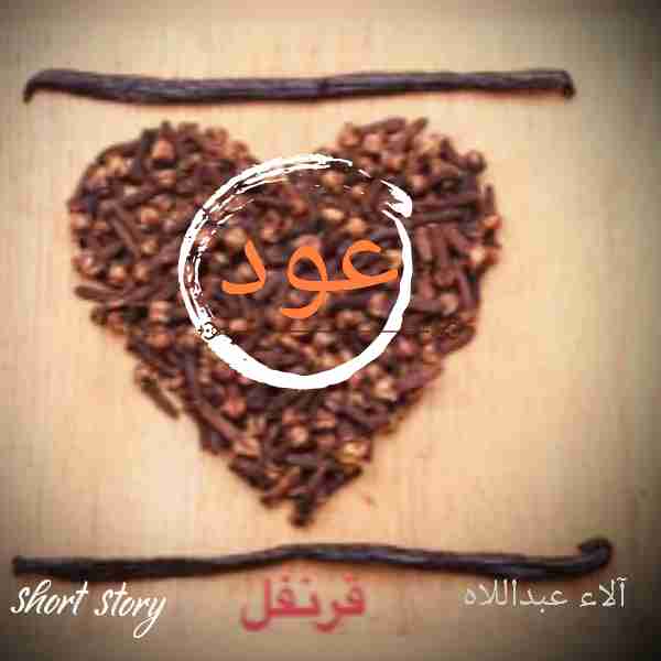 رواية عود قرنفل لـ آلاء عبداللاه حسين