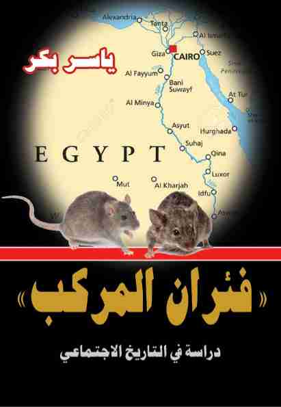 كتاب فئران المركب لـ ياسر بكر