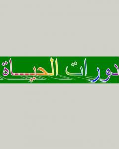 كتاب دورات الحياة لـ عبد المحسن صالح
