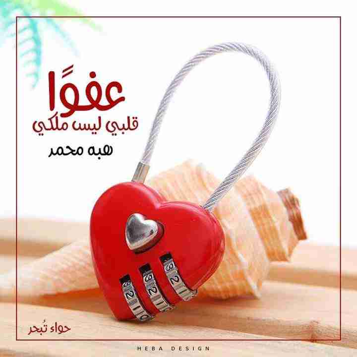 رواية عفوا قلبي ليس ملكي لـ هبه محمد