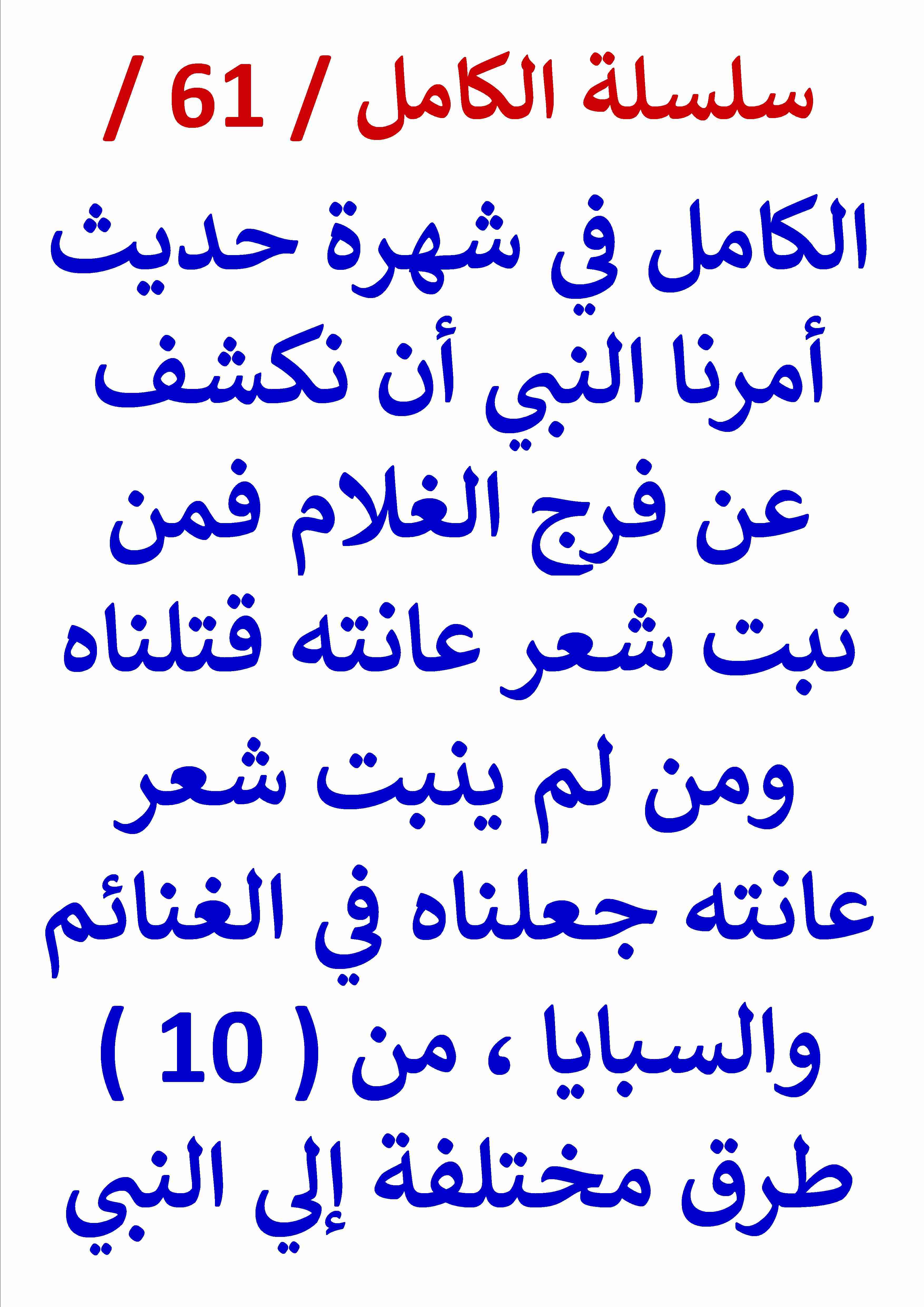 كتاب الكامل في شهرة حديث الكشف عن فرج الغلام لـ عامر الحسيني