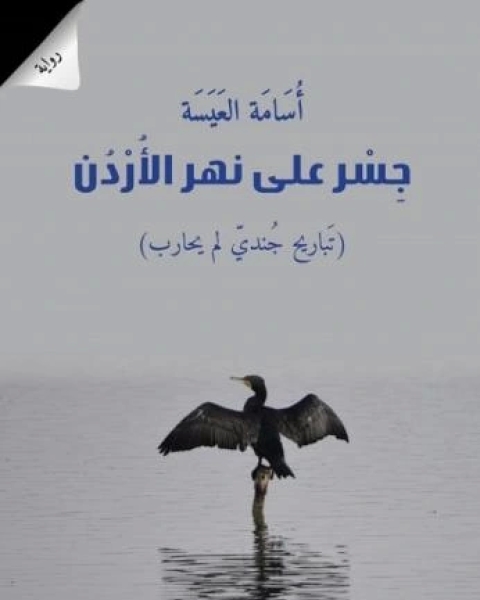 ثقب في القلب