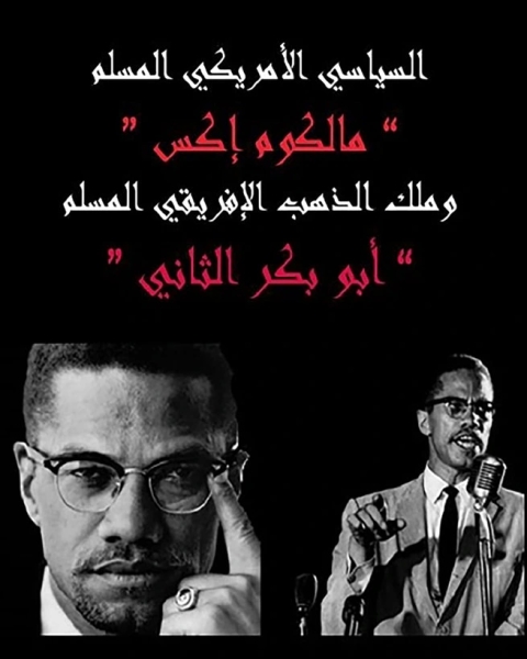 كتاب السياسي الأمريكي المسلم مالكوم إكس وملك الذهب الإفريقي المسلم أبو بكر الثاني لـ احمد محمد صفوت