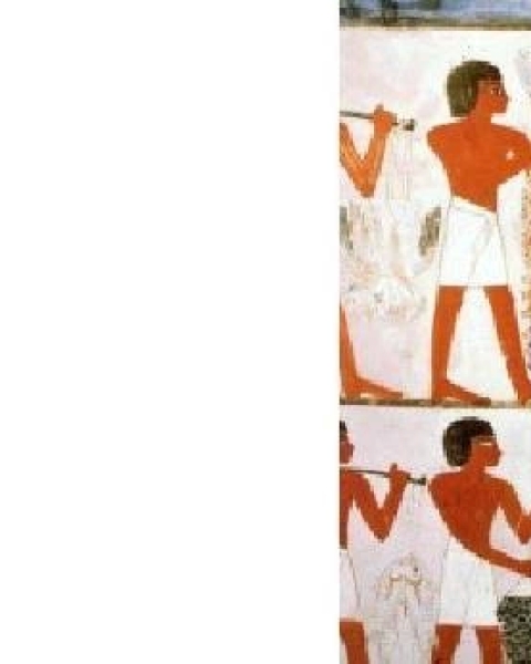 كتاب أحمس لـ صابر عبد الدايم