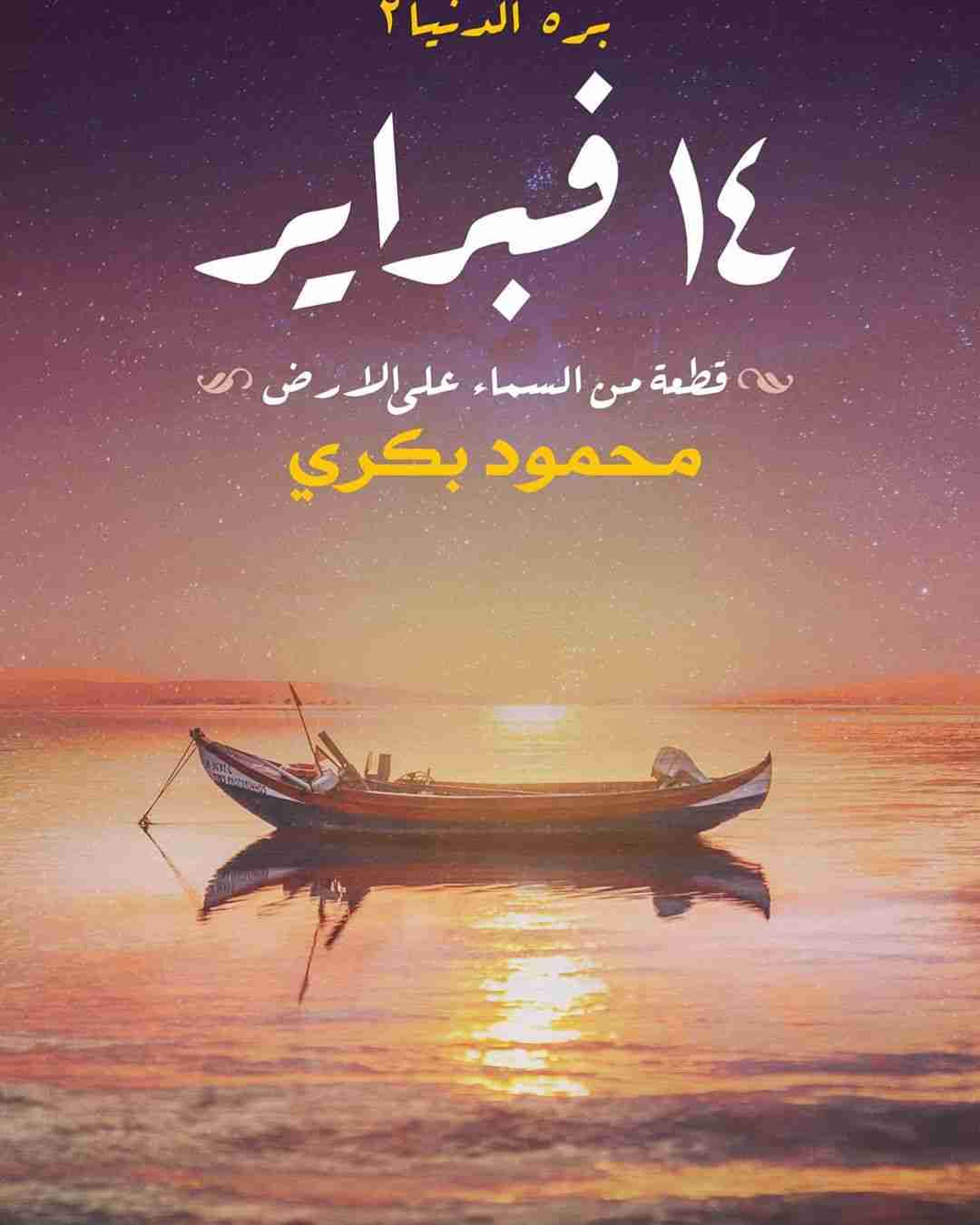 رواية 14 فبراير لـ محمود بكرى