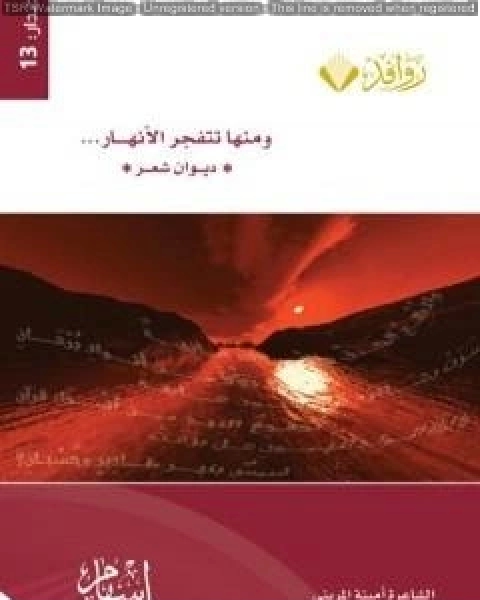 كتاب الدين والهوية إشكالات الصدام والحوار والسلطة لـ السيد ولد اباه