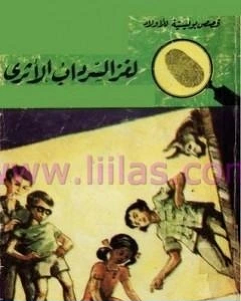 كتاب لغز السرداب الاثري سلسلة المغامرون الخمسة 45 لـ محمود سالم