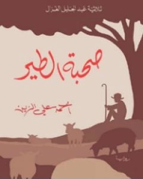 رواية صحبة الطير لـ احمد علي الزين